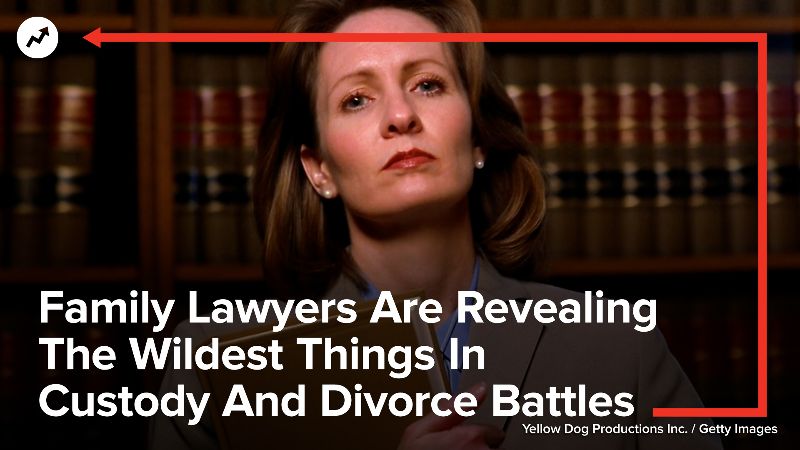 Family Lawyers Are Revealing The Wildest Things In Custody And Divorce ...