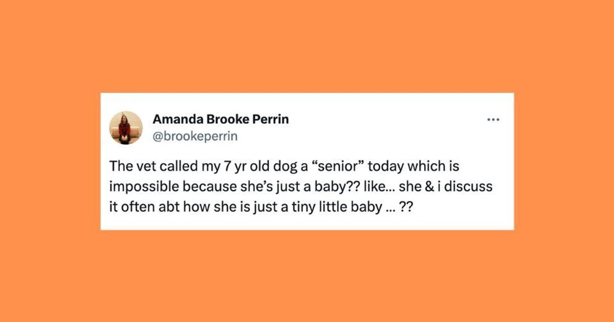 23 Of The Funniest Tweets About Cats And Dogs This Week