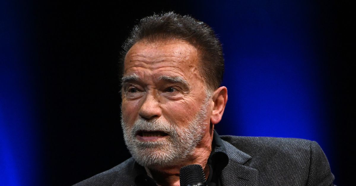 Arnold Schwarzenegger Shares His Surprising View Of Today's GOP