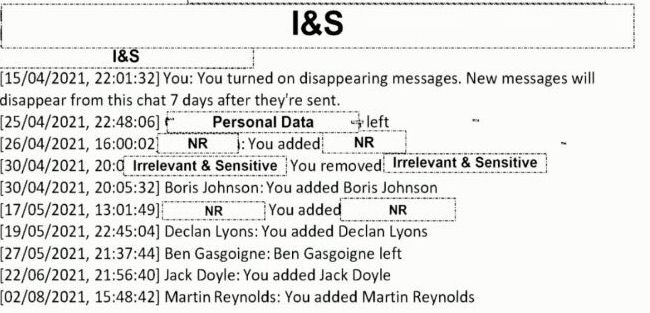 WhatsApp messages showing Martin Reynolds activating the 'disappearing message' setting on a group chat with multiple key players in Covid policy.