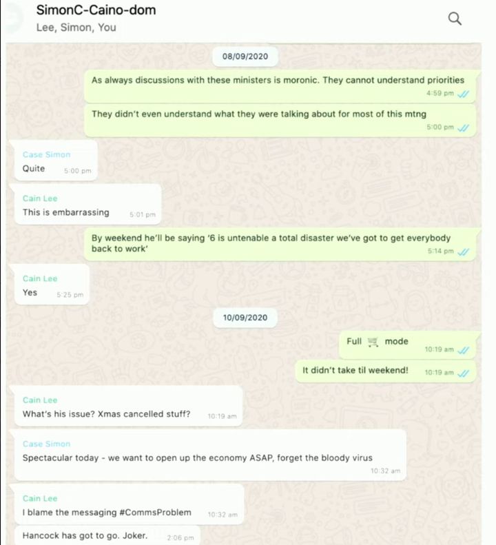 WhatsApp messages between Simon Case, Lee Cain and Dominic Cummings showing chaos in government.