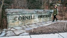 Cornell Student Arrested After Violent Antisemitic Comments Posted Online