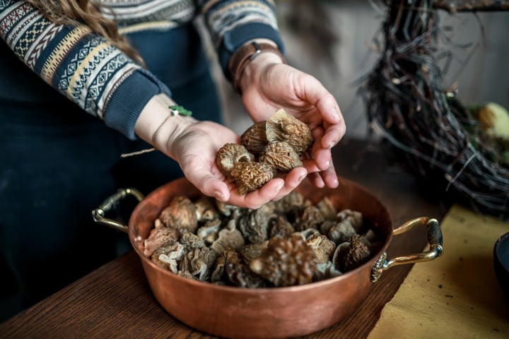 Woman holds copper basin frying pan with morel mushrooms. 