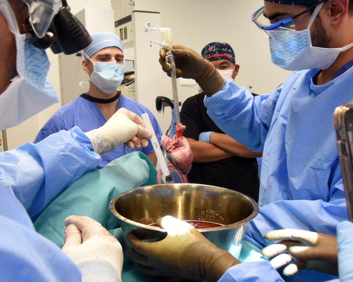 Il cuore sembrava sano per il primo mese, ma negli ultimi giorni ha iniziato a mostrare segni di rigetto, ha detto la Scuola di Medicina dell’Università del Maryland.