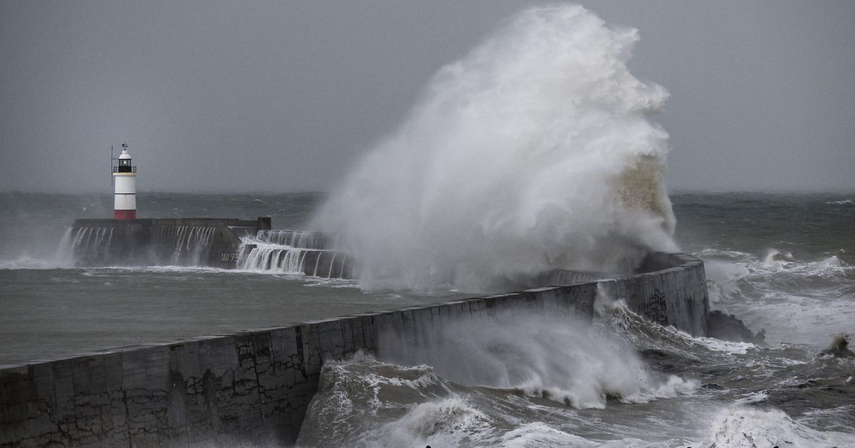Did Storm Ciarán Affect The Taste Of Your Cup Of Tea? | HuffPost UK Life