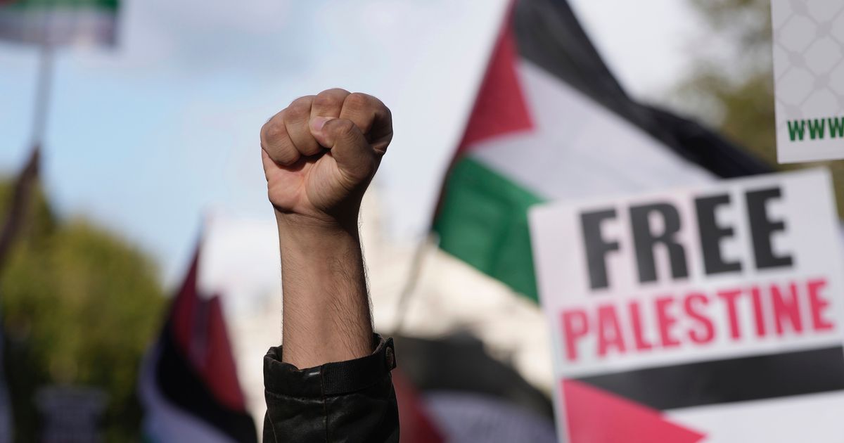 Impasse alors que la police du Met exhorte les manifestants à retarder la marche pro-palestinienne le jour de l’armistice
