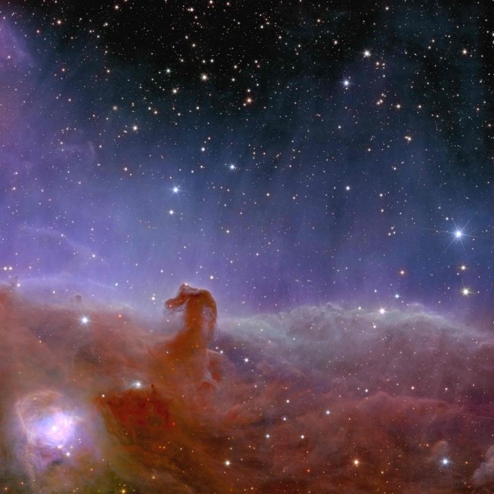 Euclid shows us a spectacularly panoramic and detailed view of the Horsehead Nebula, also known as Barnard 33 and part of the constellation Orion. At approximately 1375 light-years away, the Horsehead – visible as a dark cloud shaped like a horse’s head – is the closest giant star-forming region to Earth.