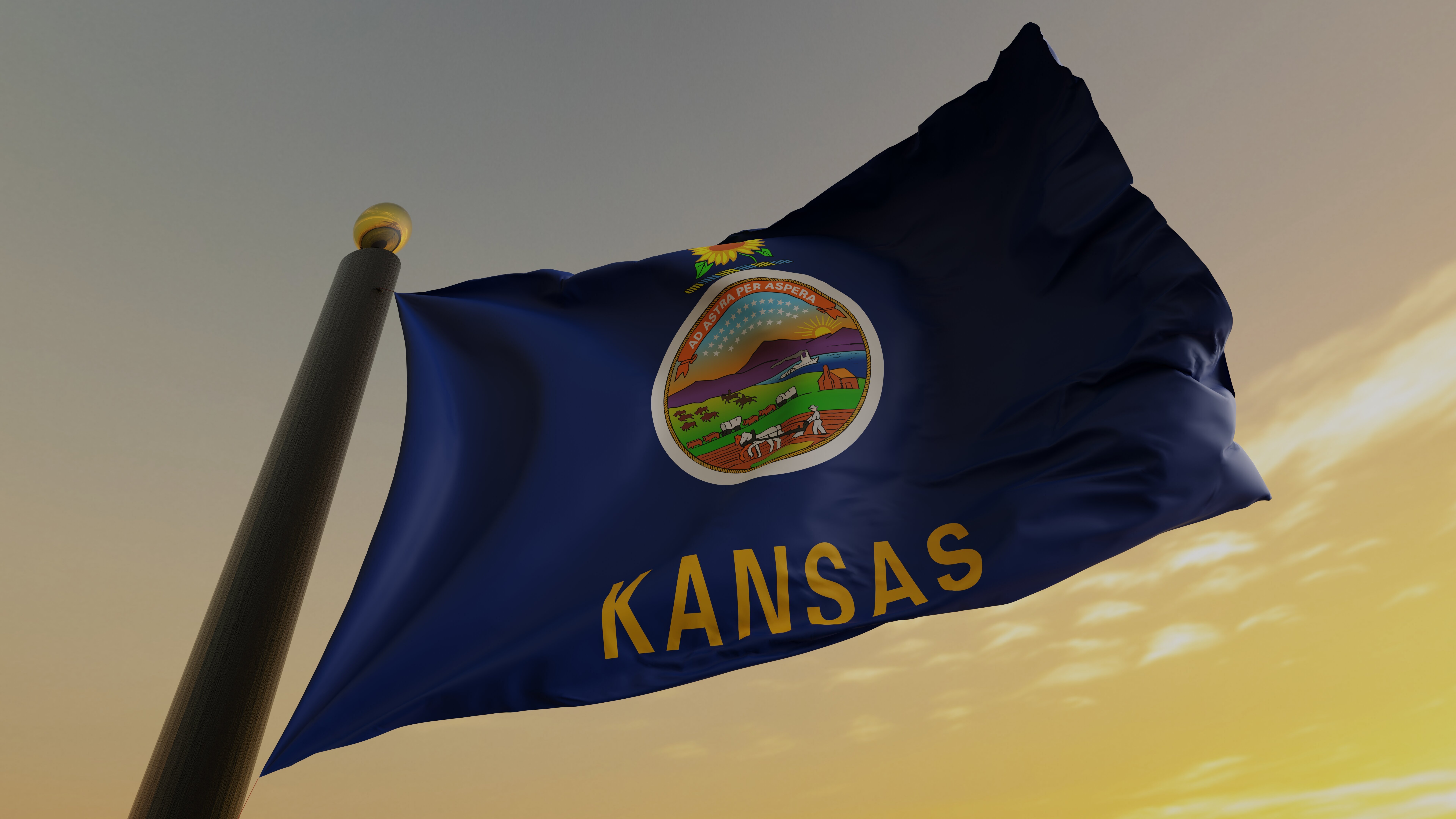 Suit Claims Kansas Police Allowed To Exploit Black Residents | HuffPost ...