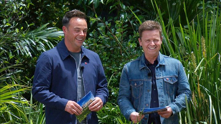 Ant and Dec in the I'm A Celebrity jungle last year