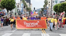 The Trevor Project Leaves Twitter The Trevor Project Leaves Twitter