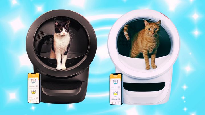 The Litter Robot 4 from Chewy.