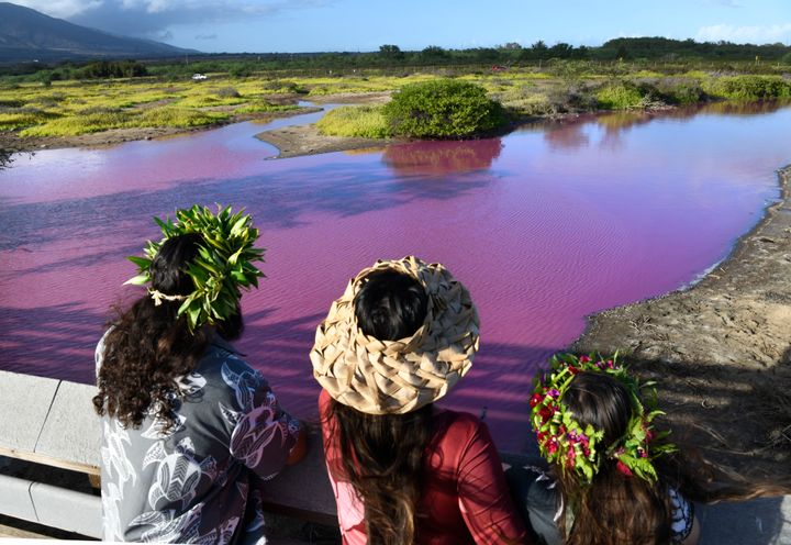Shad Hanohano, from left, Leilani Fagner and their daughter Meleana Hanohano view the pink water at the Kealia Pond National Wildlife Refuge in Kihei, Hawaii on Wednesday, Nov. 8, 2023. Officials in Hawaii are investigating why the pond turned pink, but there are some indications that drought may be to blame. (Matthew Thayer/The Maui News via AP)