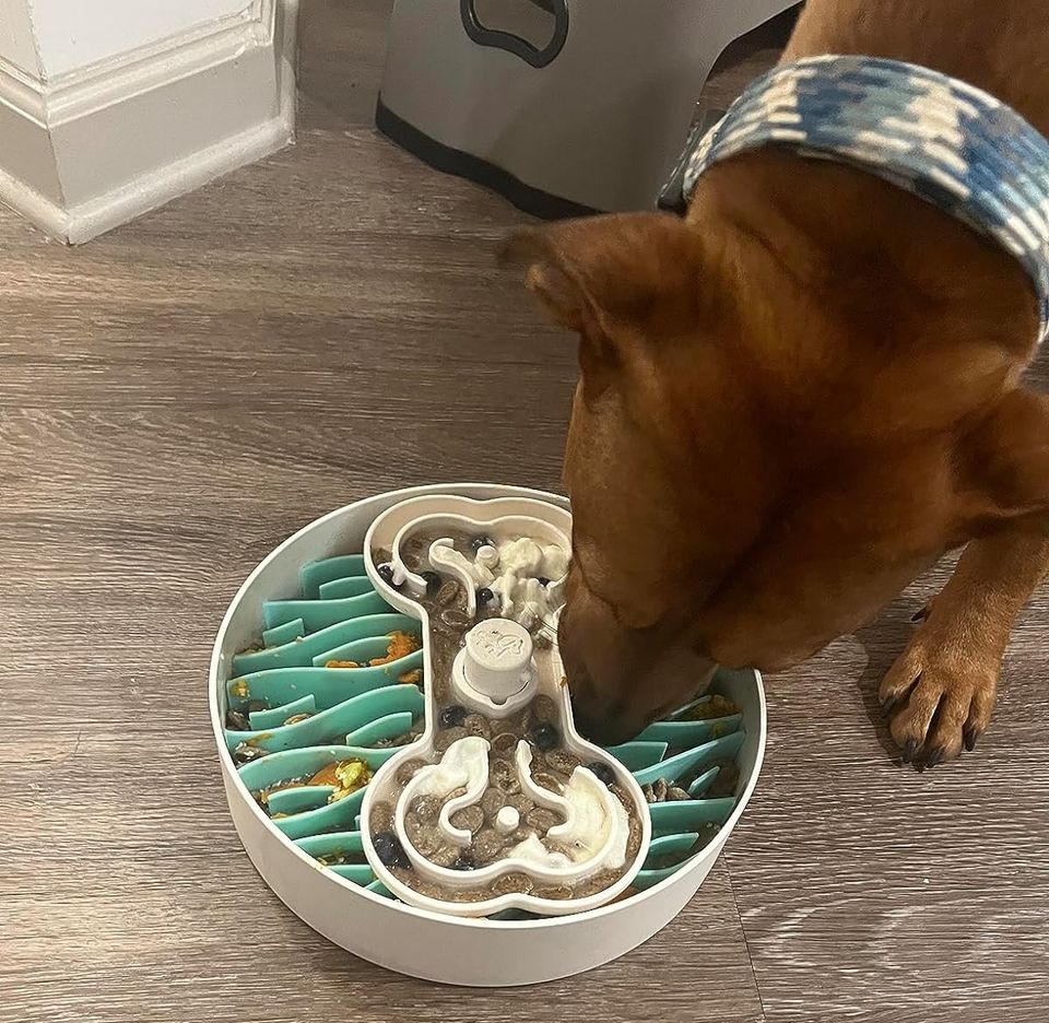 A slow feeder bowl that's a level up from the other maze-like bowls you've seen, thanks to the separate bone-shaped top compartment your pup will have to spin around to get to the tasty food beneath, puzzle-style. 