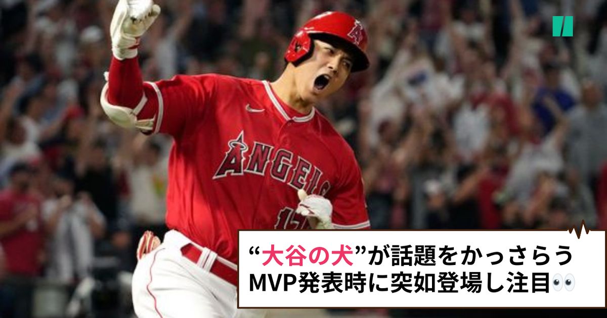 大谷翔平選手の「犬」が話題、ネットに衝撃走る。MVP発表時に突如登場