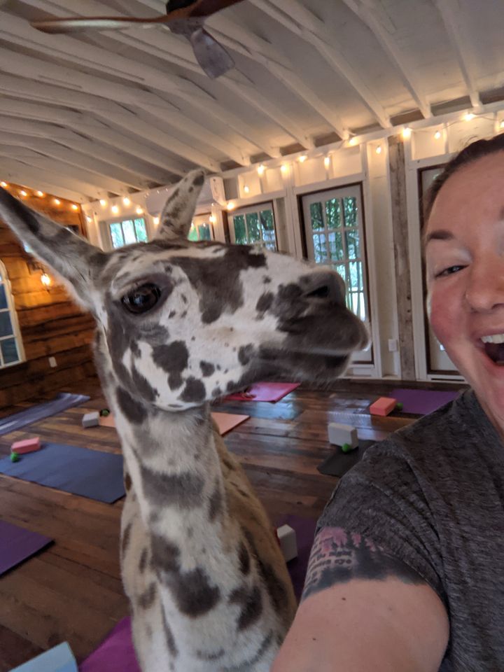 The author with Figgy the llama right before a llama yoga class in Atlanta.