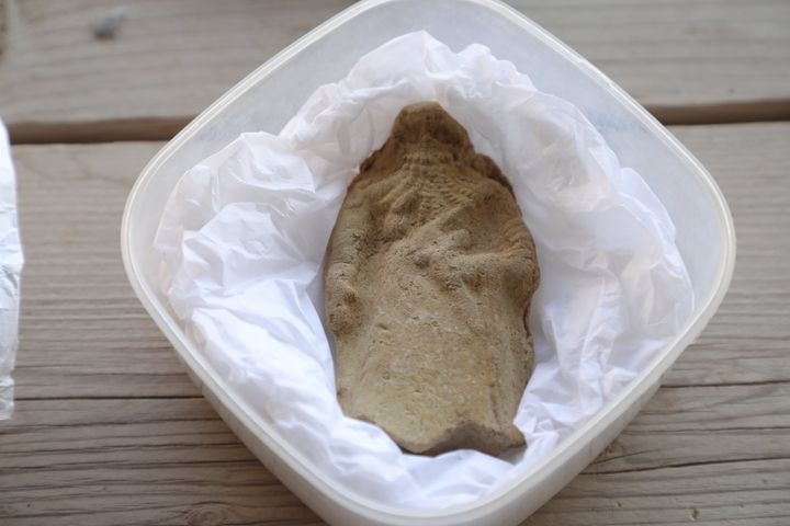 : Πολυάριθμα γλυπτά, αγγεία και σφηνοειδή αντικείμενα, τα οποία υπολογίζεται ότι χρονολογούνται από 3 χιλιάδες π.Χ., ανακαλύφθηκαν από τους αρχαιολόγους του Βρετανικού Μουσείου κάποτε η αρχαία πόλη Girsu, πρωτεύουσα του Βασιλείου του Lagash τώρα στο Dhi Qar , Ιράκ στις 16 Νοεμβρίου 2021.
