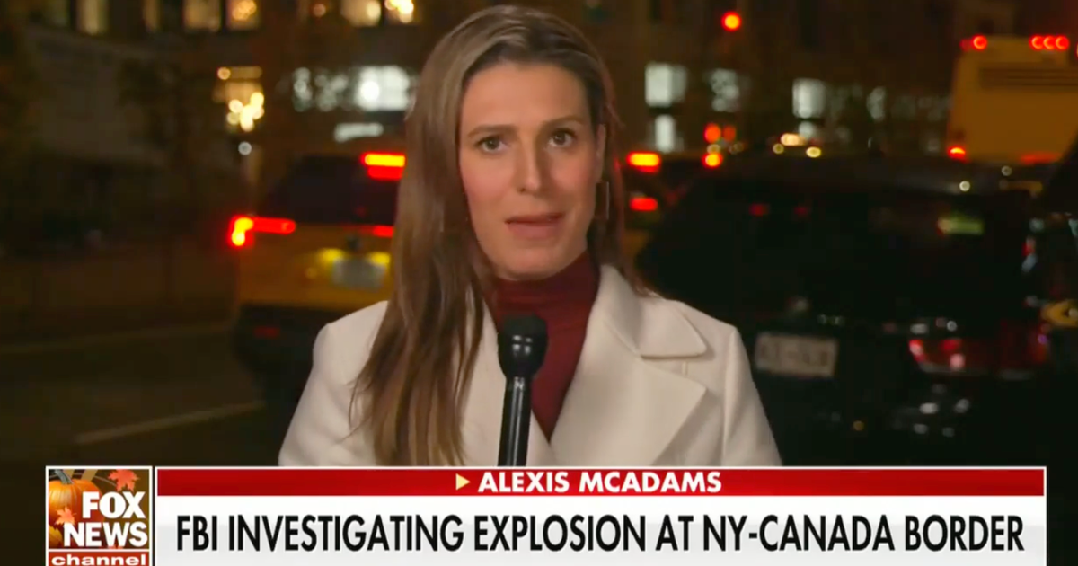 NextImg:Fox News Retracts 'Terrorist Attack' Report About Niagara Falls Car Explosion