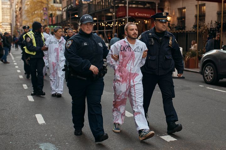 New York City police officers take pro-Palestinian protesters into custody during the Thanksgiving Day parade.