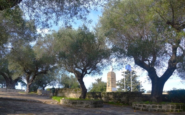 Λιόφυτα στο Λόφο του Στράνη