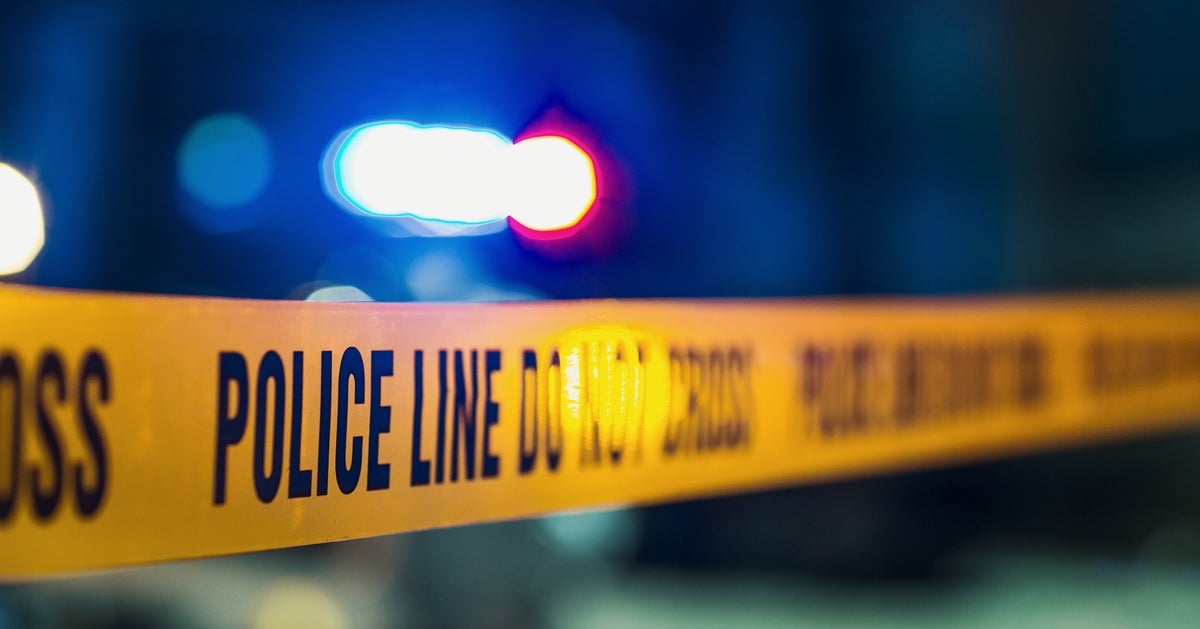 NextImg:'I Just Killed My Brother': Florida Man Confesses To Murder After Shooting Sibling, Police Say