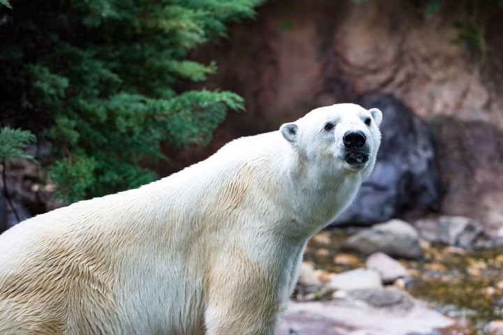 よこはま動物園ズーラシア