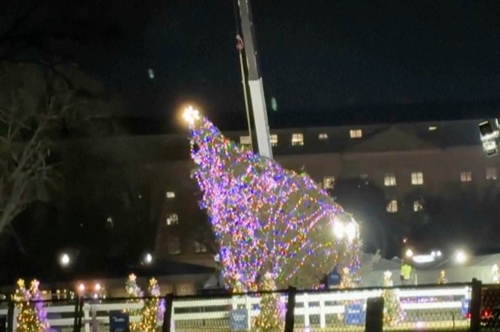 The National Christmas Tree is pictured hanging from a crane in front of the White House as a crew works to lift it back up after it fell.