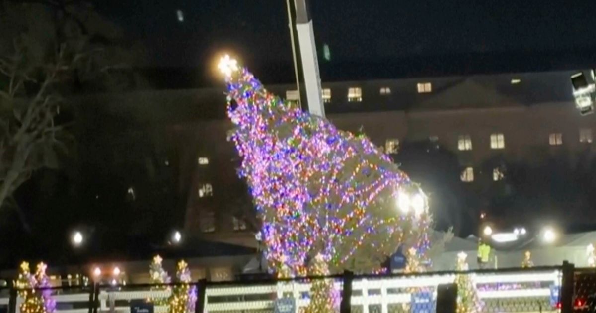 White House Christmas Tree Sleighed By Heavy Winds