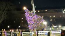 Christmas Tree In Front Of White House Sleighed By Heavy Winds