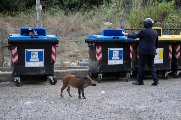 Φωτογραφία αρχείου