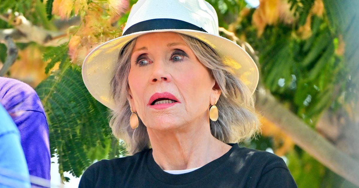 Jane Fonda Has Outrageous Reason Why She'd Want A Younger Lover ...