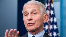 'I Don't Like Extremes': Dr. Fauci Was Weirded Out By His Hardcore Fans