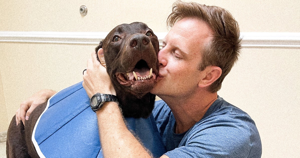 NextImg:We Fought To Keep Our Dog Alive When He Was Diagnosed With Cancer — And I'm So Grateful We Did