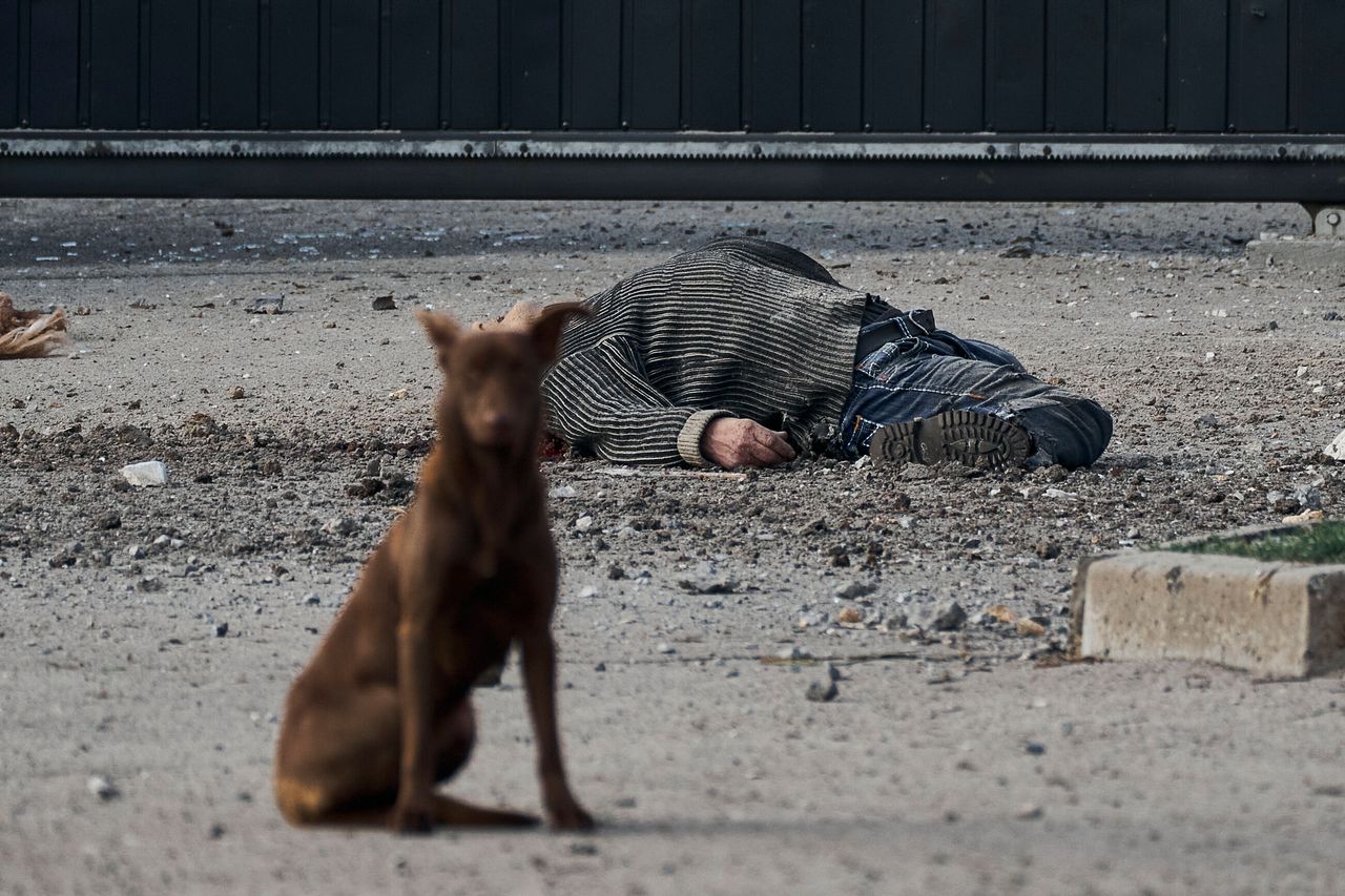 Αδέσποτος σκύλος κρύβει το πρόσωπο ενός νεκρού Ουκρανού μετά από ρωσικό βομβαρισμό στη Χερσώνα.