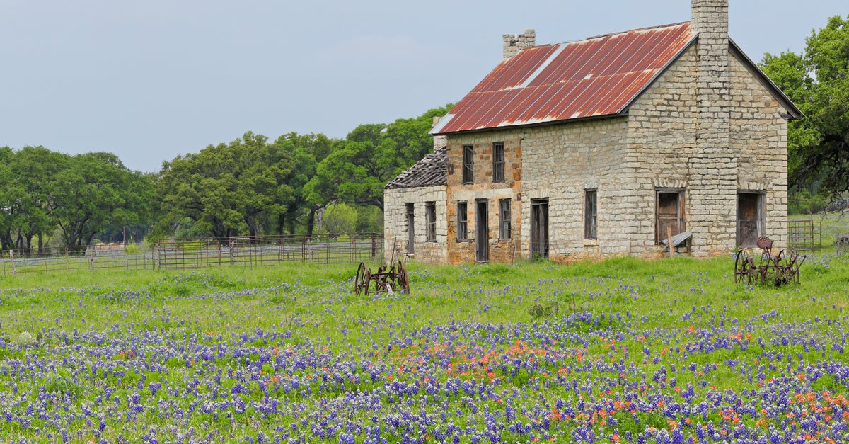 NextImg:Texas Group Removes Slavery Books At Ex-Slave Plantations: Report