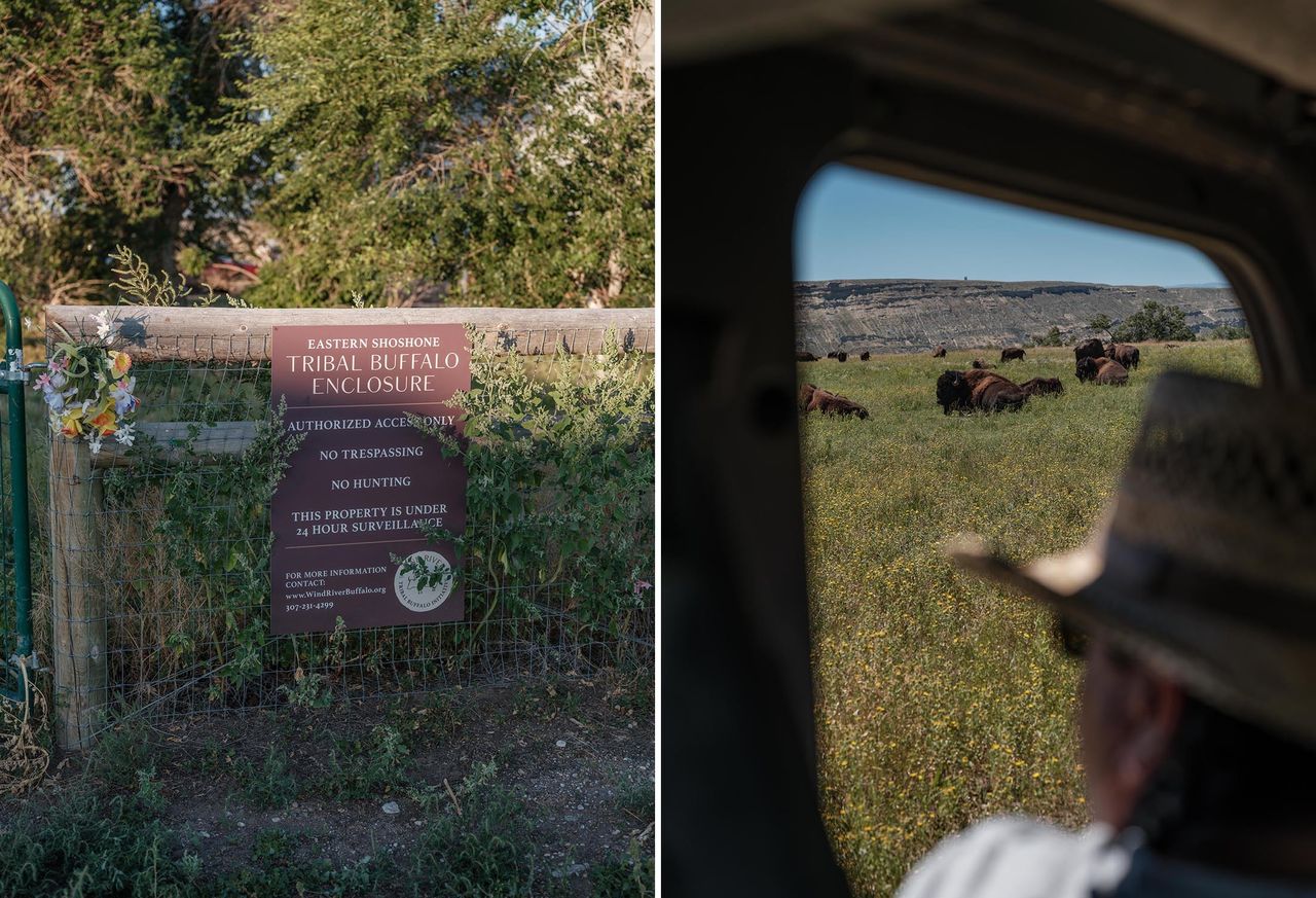 Left: A sign on the fence in front of the entrance to the Wind River Tribal Buffalo Initiative, Aug. 16, 2023. Right: Baldes at the Wind River Tribal Buffalo Initiative on Aug. 15, 2023. “What we do here on the reservation could set precedent for what buffalo restoration can look like," he said.