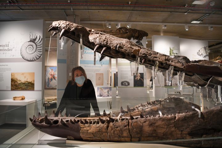 Collection assistant Kat Broomfield with the fossil skull of a pliosaur at the Dorset Museum in Dorchester, England in 2021. A similar skull has been found along southern England’s Jurassic Coast.