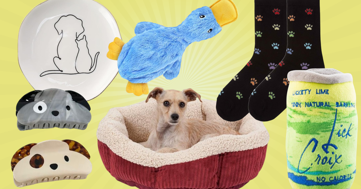 NextImg:23 Gifts For The Person Whose Dog Or Cat Is Their Entire Personality