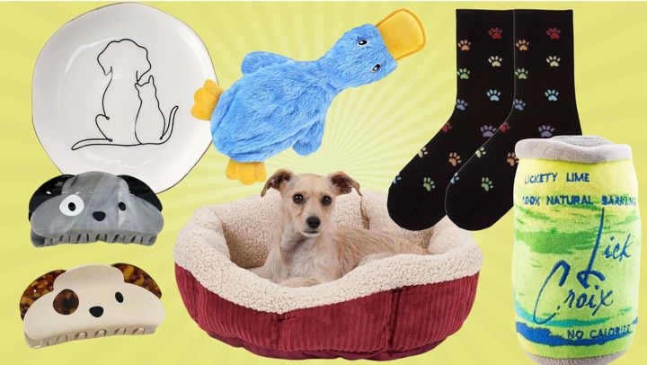 Dog hair claws, a ceramic dog and cat ring dish, a durable duck toy, a self-warming pet bed, rainbow paw print socks and a "Lick Croix" plush pet toy.