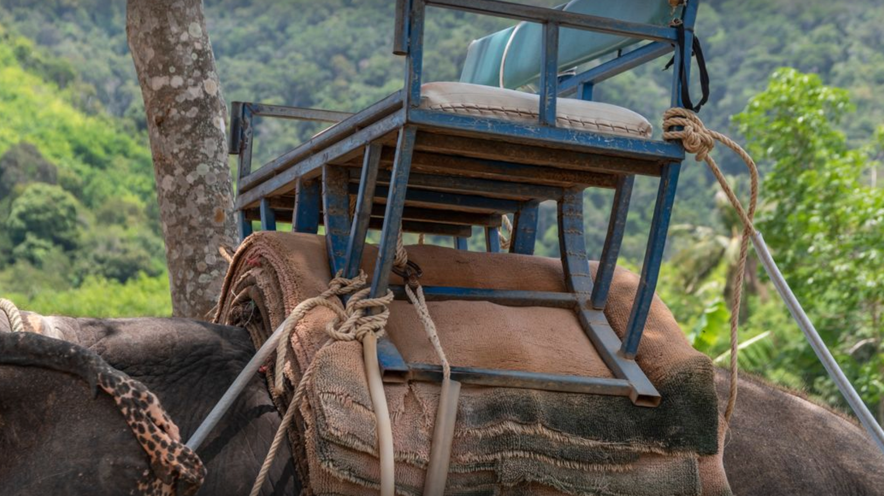 65780ee72300001f00c0add9.png?