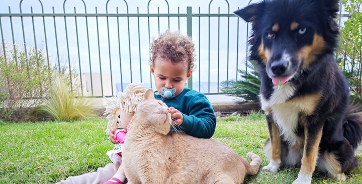 It's science: Kids who have pet cats and dogs tend to have fewer allergies, one study found.