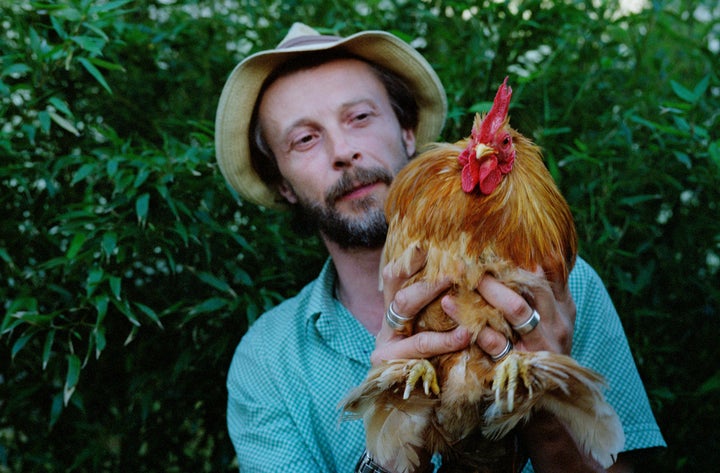 Roosters may be much wiser than we realize. A new study suggests that roosters can recognize themselves in a mirror.