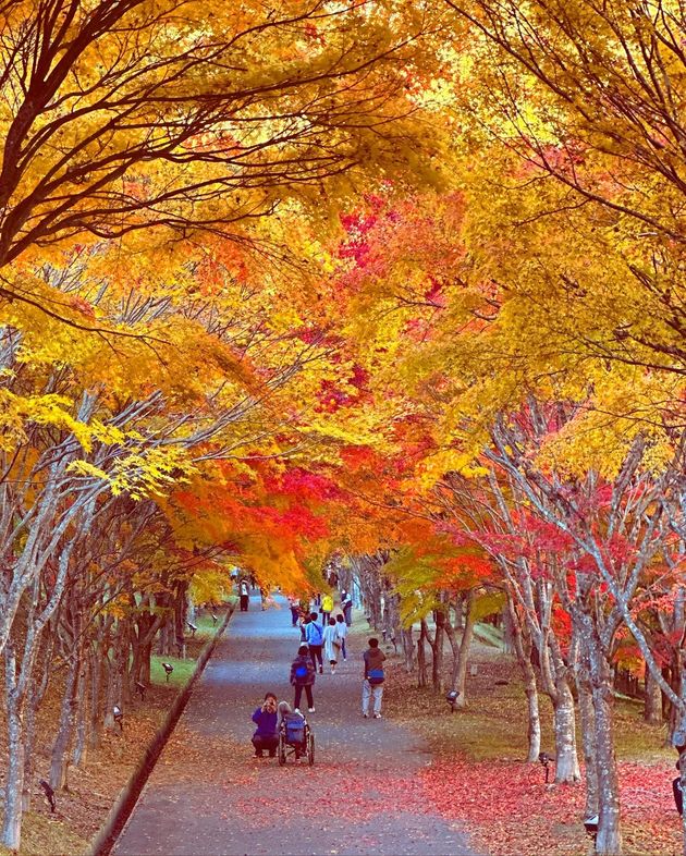 移住先に広がる美しい風景