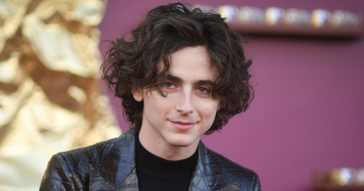 Timothée Chalamet Names Character He Wishes He Got To Play In 'Barbie' Movie