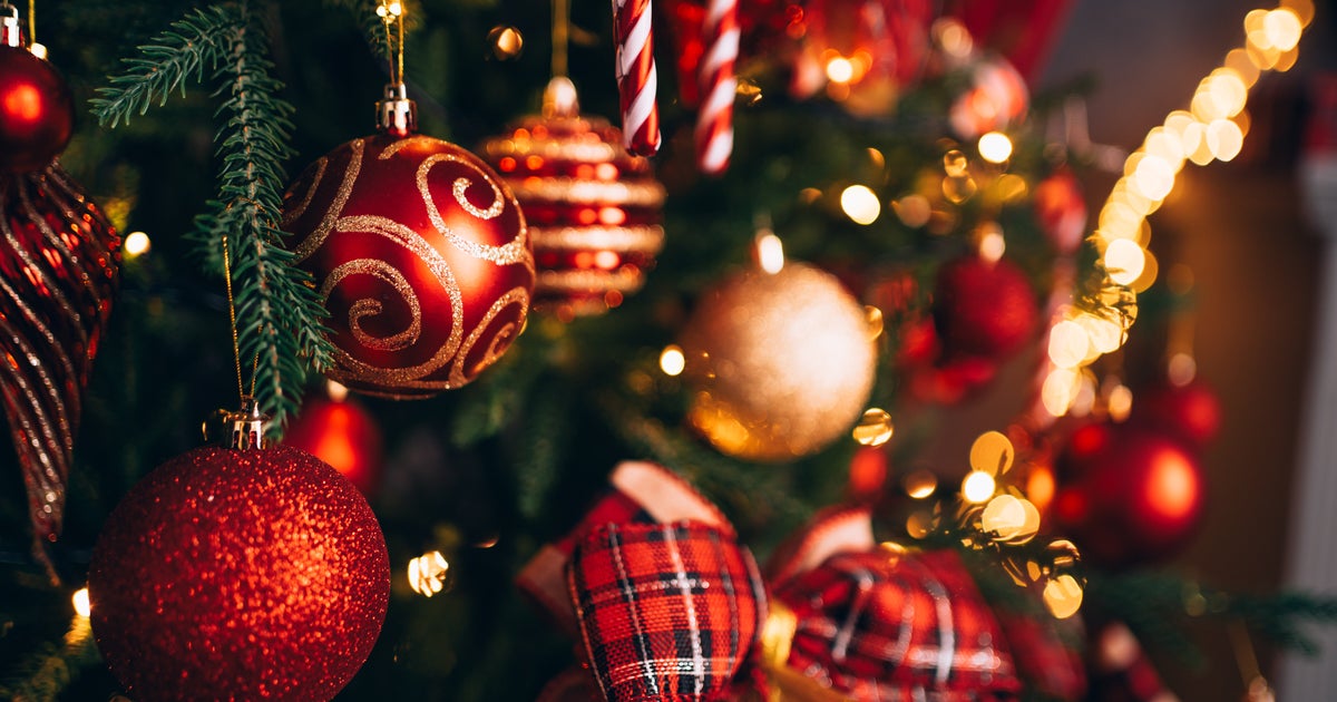 NextImg:Ex-State Department Official Mocked For Wildly Misinterpreting Christmas Display