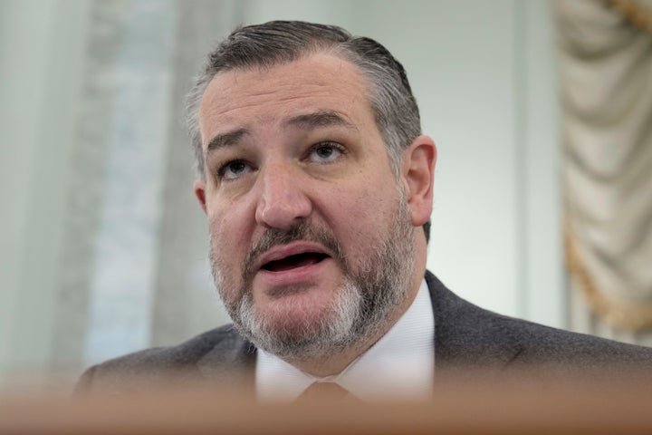 Sen. Ted Cruz (R-Texas) repeatedly pressed Mangi, who is Muslim, to denounce terrorism and prove that he isn't antisemitic.