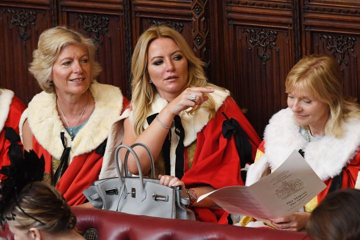 Baroness Mone has taken a "leave of absence" from the House of Lords.