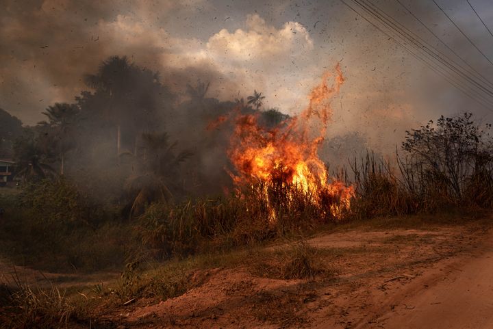 A mixed area of fields and Amazon rainforest is burning uncontrollably, while nearby residents attempt to contain the flames.