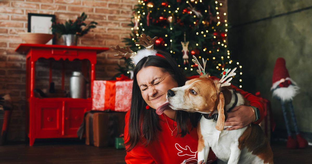 Single During The Holidays? 17 People Share Their Favorite Traditions