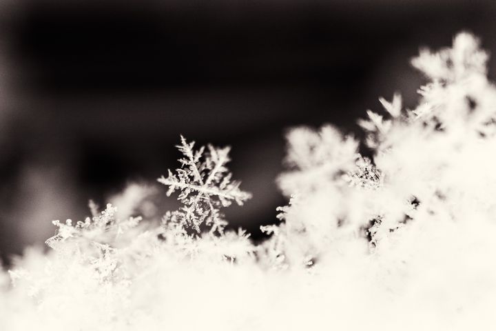 A long snowflake shoes its beauty among a pile of snow