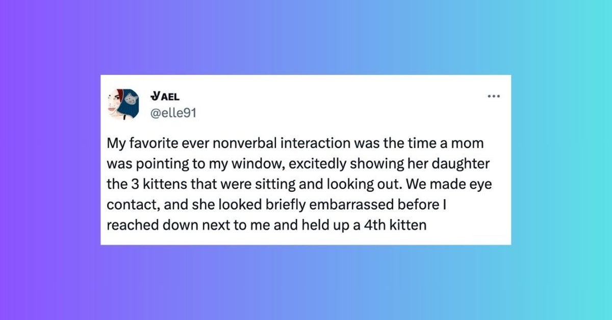 50 Of The Funniest Tweets About Cats And Dogs In 2023